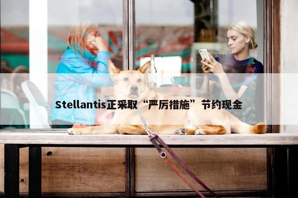 Stellantis正采取“严厉措施”节约现金