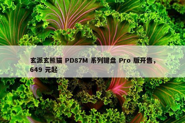 玄派玄熊猫 PD87M 系列键盘 Pro 版开售，649 元起