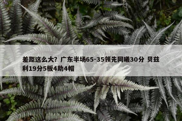 差距这么大？广东半场65-35领先同曦30分 贝兹利19分5板4助4帽