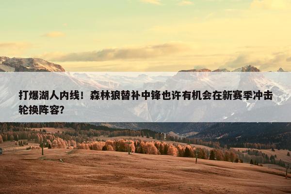 打爆湖人内线！森林狼替补中锋也许有机会在新赛季冲击轮换阵容？