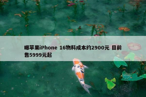 曝苹果iPhone 16物料成本约2900元 目前售5999元起