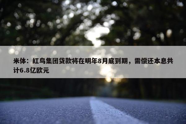 米体：红鸟集团贷款将在明年8月底到期，需偿还本息共计6.8亿欧元