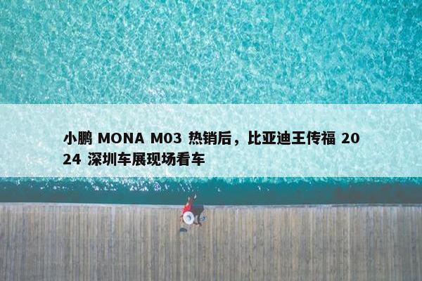 小鹏 MONA M03 热销后，比亚迪王传福 2024 深圳车展现场看车