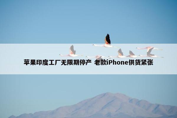 苹果印度工厂无限期停产 老款iPhone供货紧张