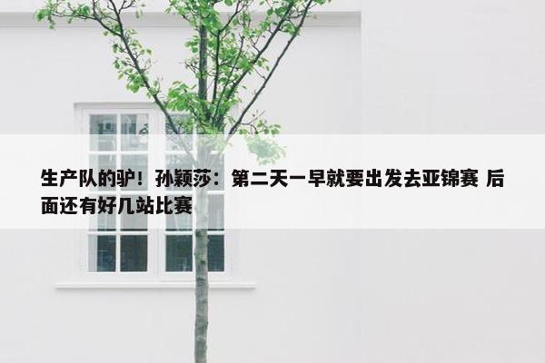 生产队的驴！孙颖莎：第二天一早就要出发去亚锦赛 后面还有好几站比赛