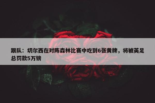 跟队：切尔西在对阵森林比赛中吃到6张黄牌，将被英足总罚款5万镑