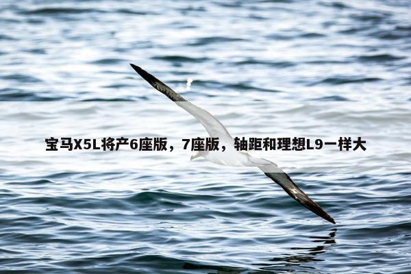 宝马X5L将产6座版，7座版，轴距和理想L9一样大