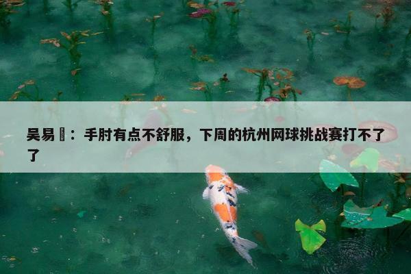 吴易昺：手肘有点不舒服，下周的杭州网球挑战赛打不了了