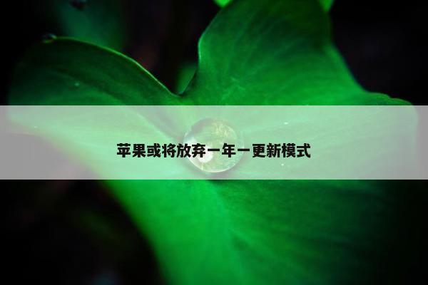 苹果或将放弃一年一更新模式