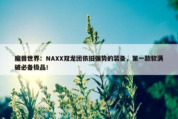 魔兽世界：NAXX双龙团依旧强势的装备，第一款软满破必备极品！