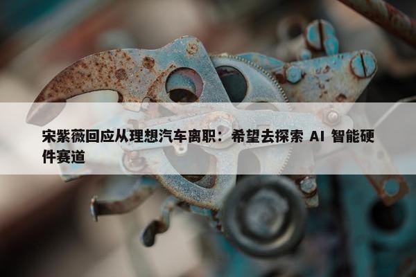 宋紫薇回应从理想汽车离职：希望去探索 AI 智能硬件赛道