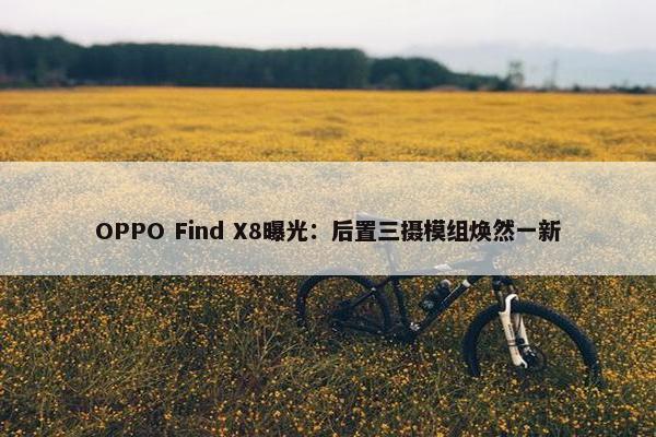 OPPO Find X8曝光：后置三摄模组焕然一新