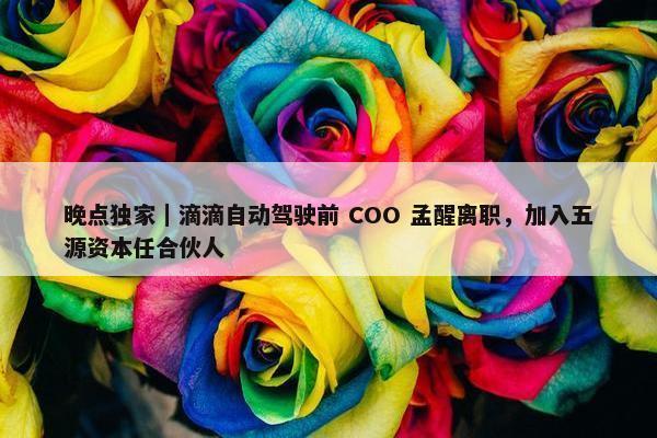 晚点独家｜滴滴自动驾驶前 COO 孟醒离职，加入五源资本任合伙人