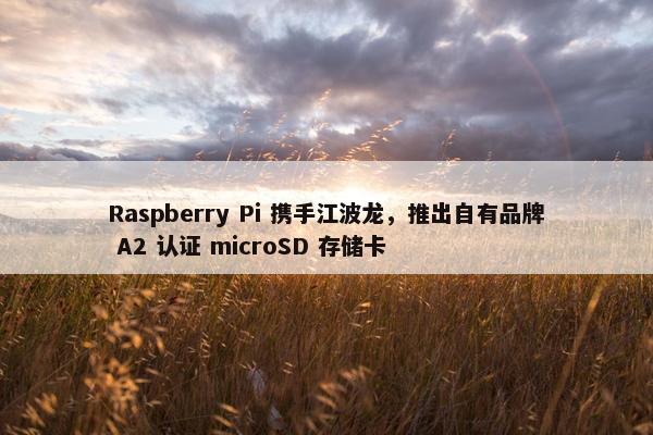 Raspberry Pi 携手江波龙，推出自有品牌 A2 认证 microSD 存储卡