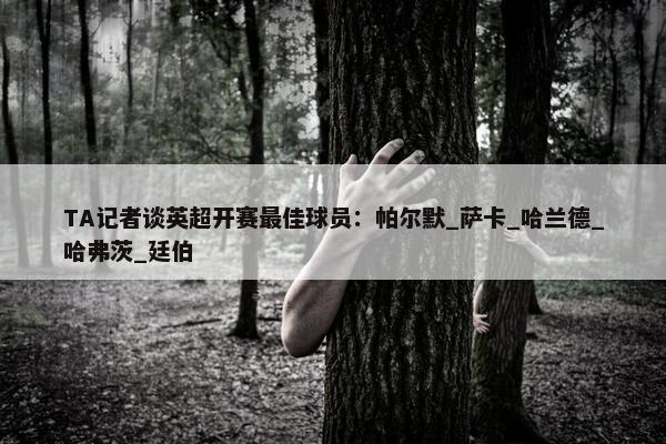 TA记者谈英超开赛最佳球员：帕尔默_萨卡_哈兰德_哈弗茨_廷伯