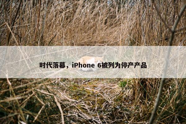 时代落幕，iPhone 6被列为停产产品