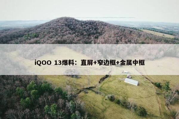 iQOO 13爆料：直屏+窄边框+金属中框