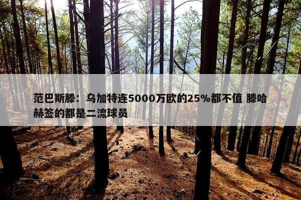 范巴斯滕：乌加特连5000万欧的25%都不值 滕哈赫签的都是二流球员