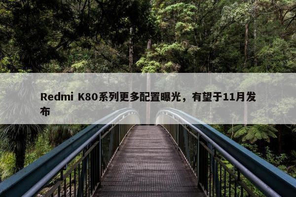 Redmi K80系列更多配置曝光，有望于11月发布