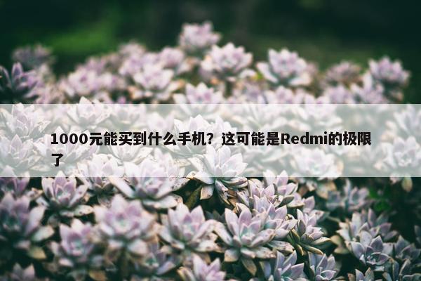 1000元能买到什么手机？这可能是Redmi的极限了