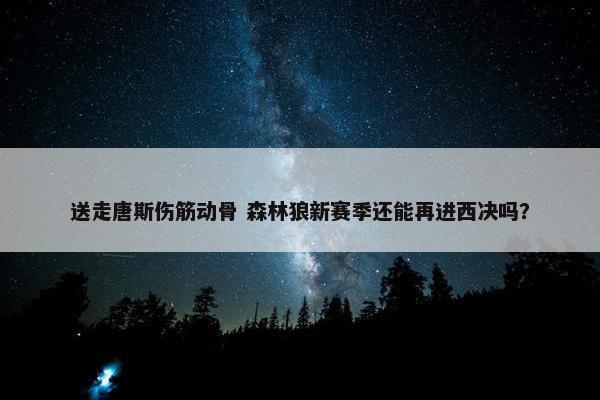 送走唐斯伤筋动骨 森林狼新赛季还能再进西决吗？