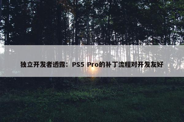 独立开发者透露：PS5 Pro的补丁流程对开发友好