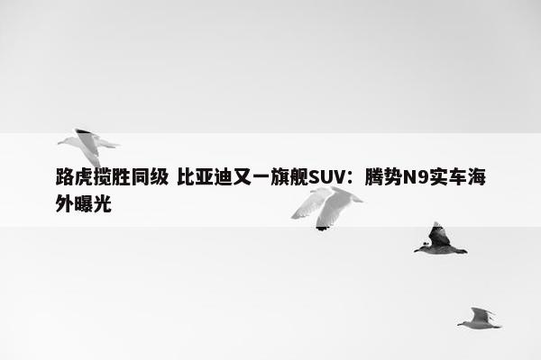 路虎揽胜同级 比亚迪又一旗舰SUV：腾势N9实车海外曝光