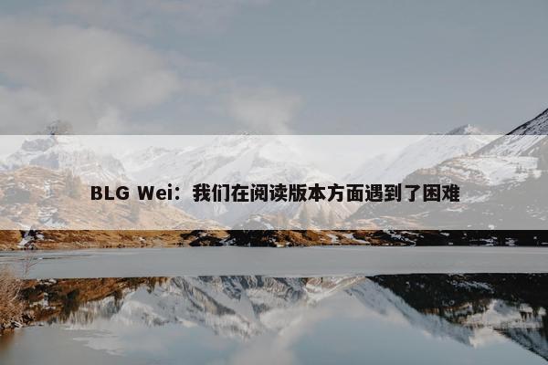 BLG Wei：我们在阅读版本方面遇到了困难