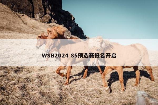 WSB2024 S5预选赛报名开启