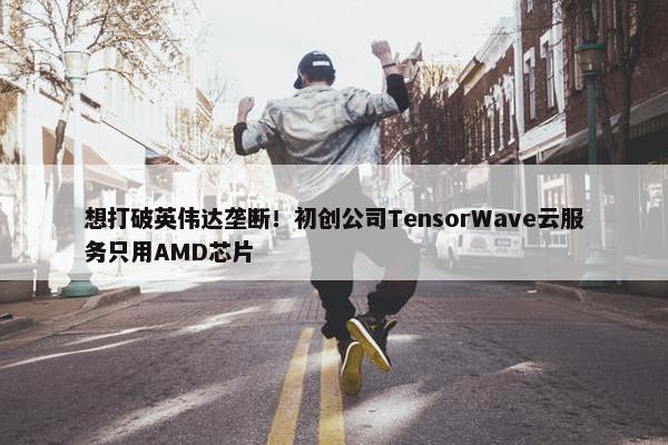 想打破英伟达垄断！初创公司TensorWave云服务只用AMD芯片