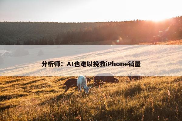 分析师：AI也难以挽救iPhone销量