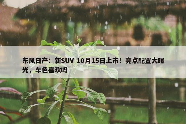 东风日产：新SUV 10月15日上市！亮点配置大曝光，车色喜欢吗