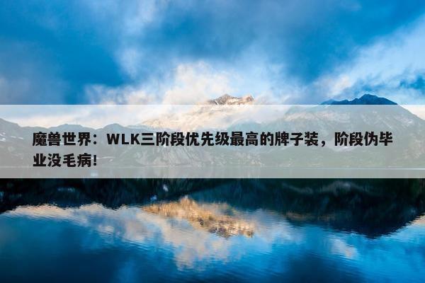 魔兽世界：WLK三阶段优先级最高的牌子装，阶段伪毕业没毛病！