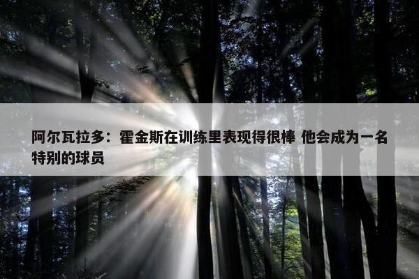 阿尔瓦拉多：霍金斯在训练里表现得很棒 他会成为一名特别的球员