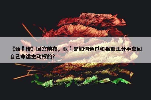 《甄嬛传》回宫前夜，甄嬛是如何通过和果郡王分手拿回自己命运主动权的？