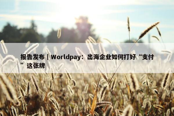 报告发布｜Worldpay：出海企业如何打好“支付”这张牌