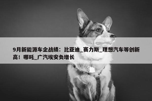 9月新能源车企战绩：比亚迪_赛力斯_理想汽车等创新高！哪吒_广汽埃安负增长