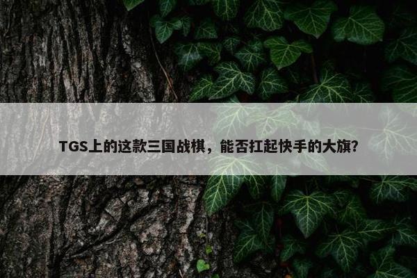 TGS上的这款三国战棋，能否扛起快手的大旗？