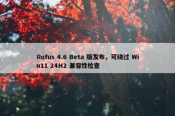 Rufus 4.6 Beta 版发布，可绕过 Win11 24H2 兼容性检查