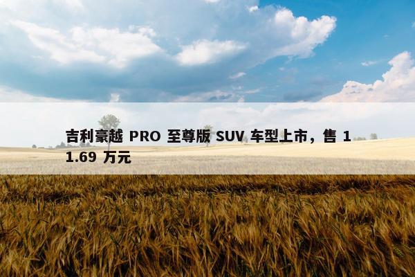 吉利豪越 PRO 至尊版 SUV 车型上市，售 11.69 万元