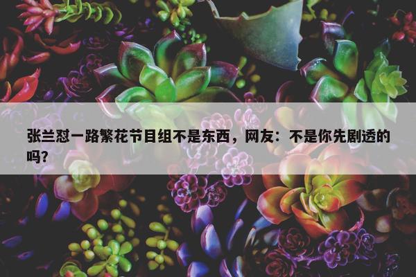 张兰怼一路繁花节目组不是东西，网友：不是你先剧透的吗？