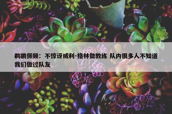 鹈鹕佩顿：不惊讶威利-格林做教练 队内很多人不知道我们做过队友