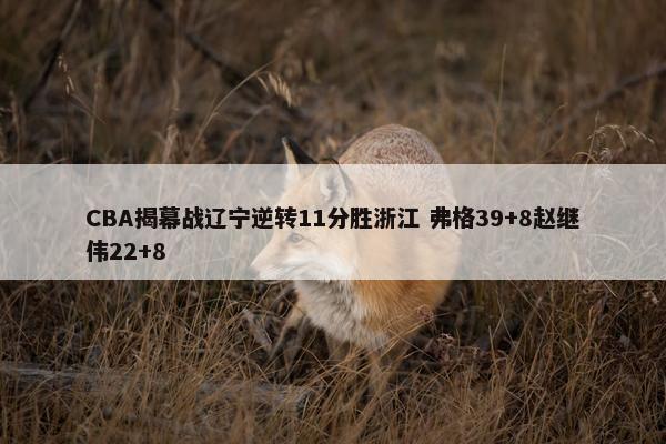 CBA揭幕战辽宁逆转11分胜浙江 弗格39+8赵继伟22+8