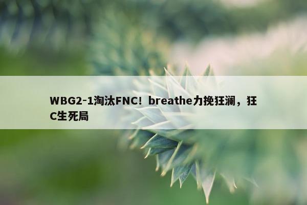 WBG2-1淘汰FNC！breathe力挽狂澜，狂C生死局