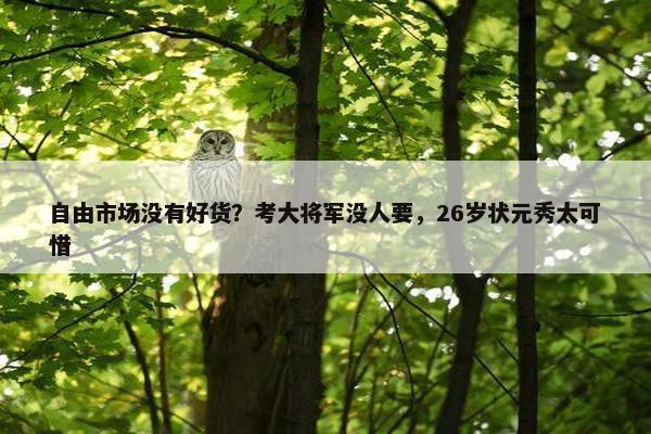 自由市场没有好货？考大将军没人要，26岁状元秀太可惜