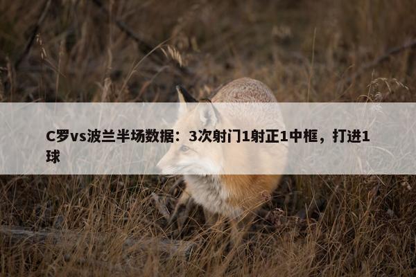 C罗vs波兰半场数据：3次射门1射正1中框，打进1球