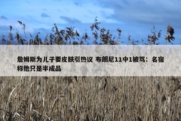 詹姆斯为儿子要皮肤引热议 布朗尼11中1被骂：名宿称他只是半成品