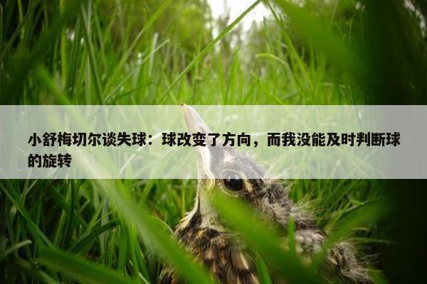 小舒梅切尔谈失球：球改变了方向，而我没能及时判断球的旋转