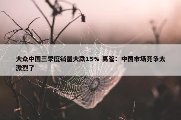 大众中国三季度销量大跌15% 高管：中国市场竞争太激烈了