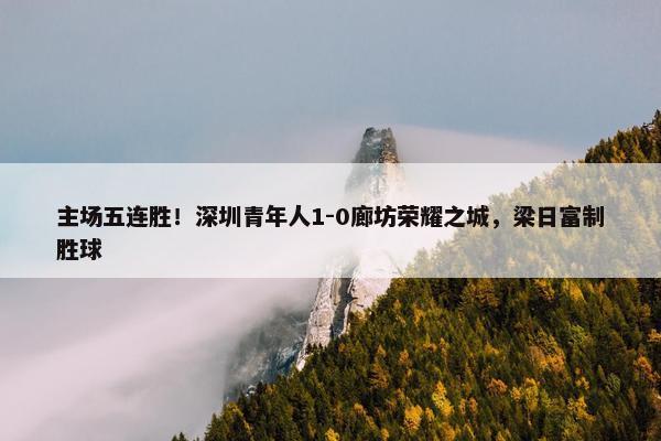 主场五连胜！深圳青年人1-0廊坊荣耀之城，梁日富制胜球